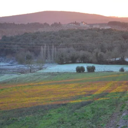 Guest house Podere Ficareto Farm 2*