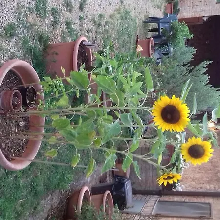 Podere Ficareto Farm 2*