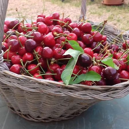 Podere Ficareto Farm 2*