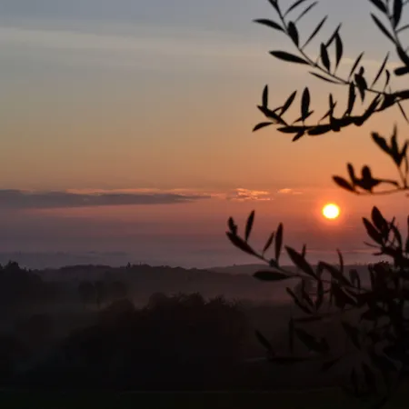 Pensjonat Podere Ficareto Farm Ancaiano